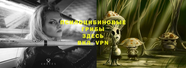прущая мука Бородино